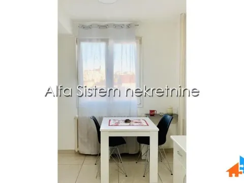 Izdavanje, dvosoban stan, 58m², Botanička Bašta, Palilula Sve Podlokacije - image 4
