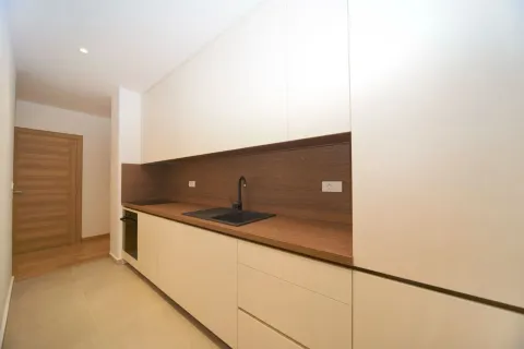 Modern kitchen with built-in cabinetry and a sink. - image 8