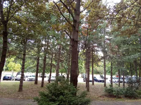 Izdavanje, četvorosoban stan, 84m², Bezanijska Kosa 1, Bežanijska Kosa Sve Podlokacije - image 20