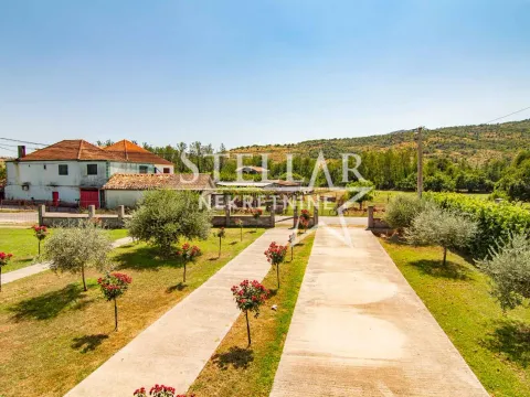 Izdavanje, kuća, 350m², Beri, Podgorica - image 9