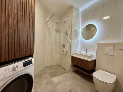 Modern bathroom with a walk-in shower, washbasin, and washing machine. - image 14