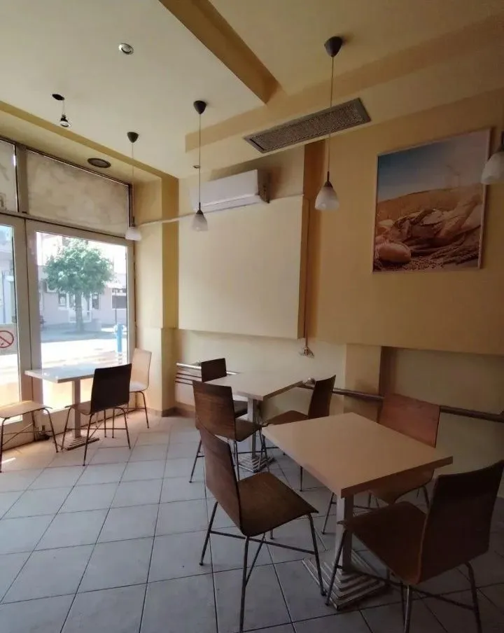 Sale, office space, 160m², Ćićevac, Srbija
