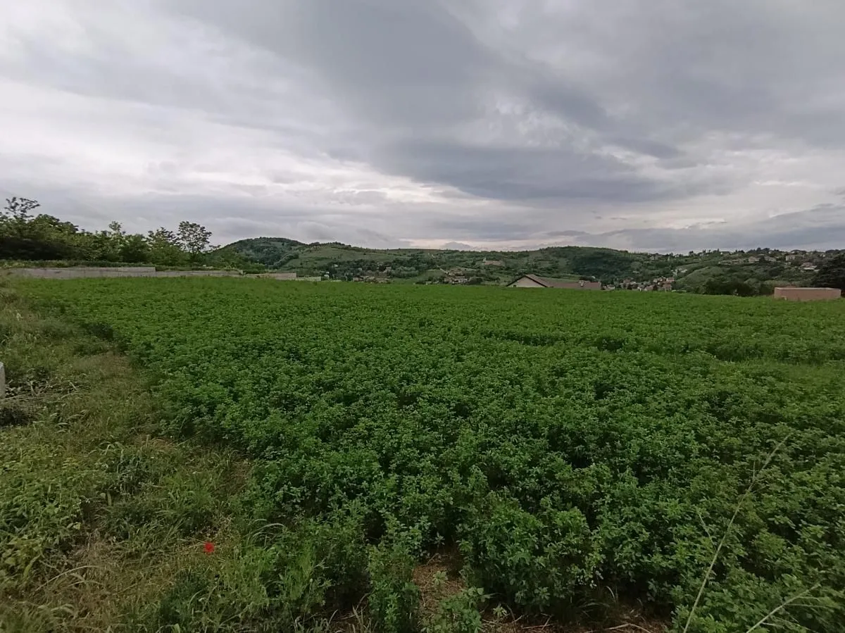 Prodaja, plac, 1100m², Beočin, Srbija