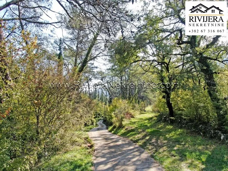 Sale, land lot, 33385m², Sutorina, Herceg Novi