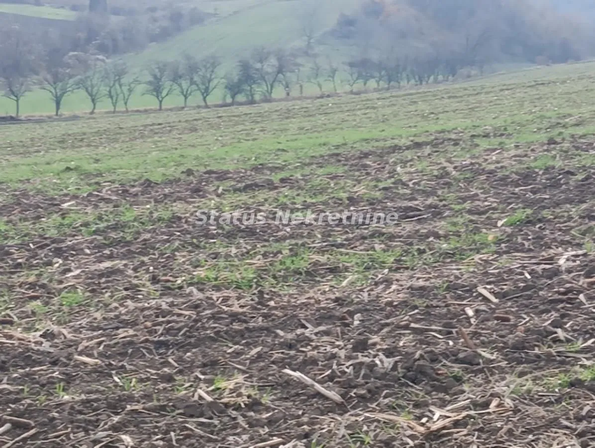 Prodaja, plac, 322m², Sremski Karlovci, Novi Sad