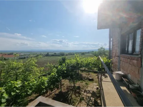 Prodaja, kuća, 345m², Niš, Srbija - image 19