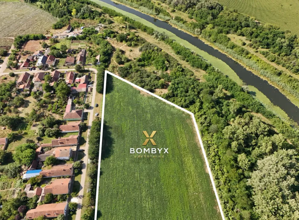 Prodaja, plac, 14000m², Bački Petrovac, Novi Sad