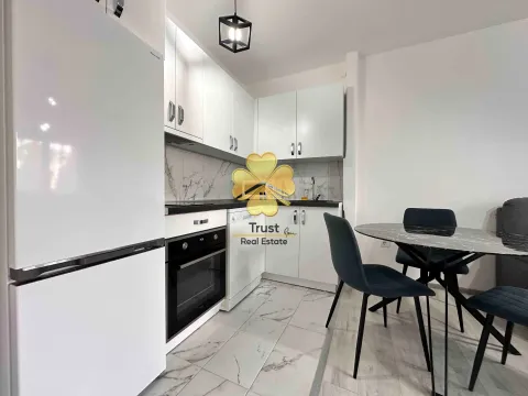 Izdavanje, jednosoban stan, 45m², Preko Morače, Podgorica - image 5