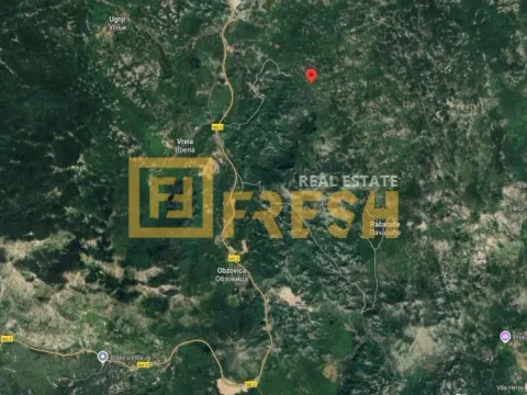 Prodaja, plac, 167866m², Cetinje, Crna Gora - image 2