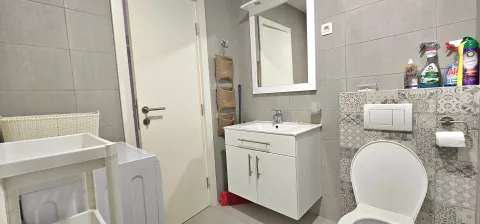 Moderne kupatilo sa umivaonikom, toaletom i veš mašinom. - image 8