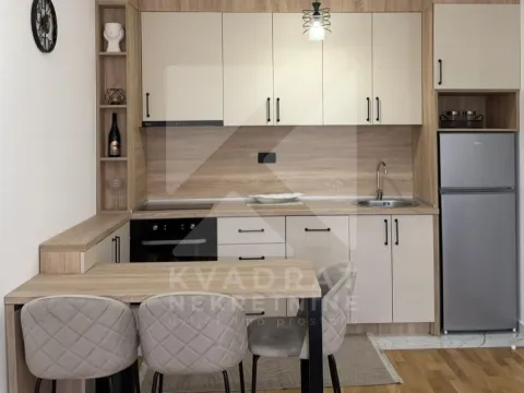 Rent, one bedroom apartment, 39m², Zagorič, Podgorica - image 2