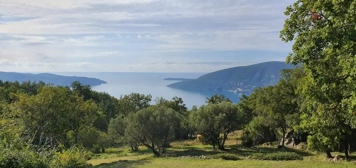 Prodaja, plac, 2500m², Trebešin, Herceg Novi