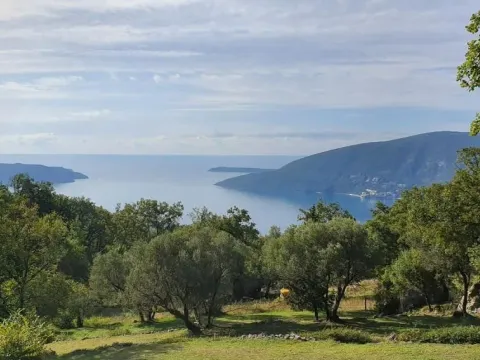 Sale, land lot, 2500m², Trebešin, Herceg Novi - image 5