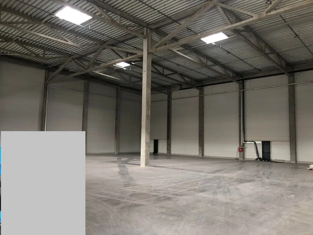 Rent, office space, 1500m², Zemun Sve Podlokacije, Beograd