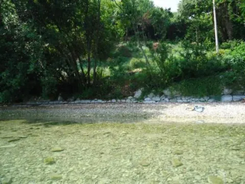Pogled na obalu sa bistrom vodom i zelenilom. - image 6
