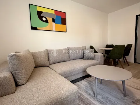 Izdavanje, jednosoban stan, 47m², Zabjelo, Podgorica - image 4