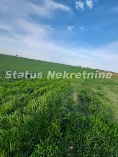 Prodaja, plac, 2600m², Kovilj, Novi Sad Sve Podlokacije