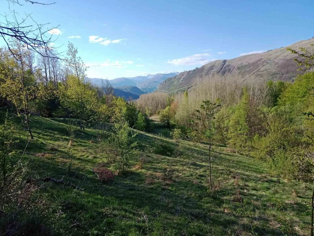 Prodaja, plac, 13700m², Miloševići, Šavnik