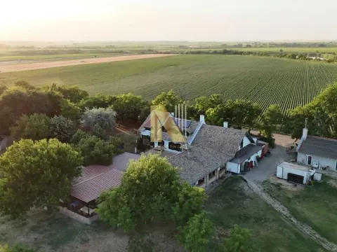 Sale, house, 230m², Srbobran, Novi Sad - image 67