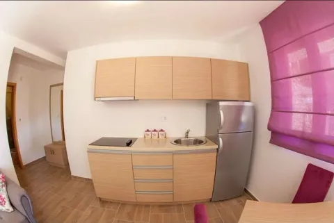 Small kitchen with wooden cabinets and a refrigerator inside the apartment. - image 9