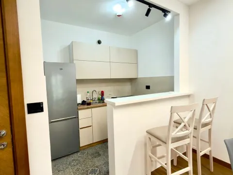 Izdavanje, jednosoban stan, 47m², Ljubović, Podgorica - image 2