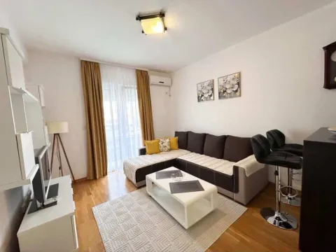 Rent, one bedroom apartment, 45m², Podgorica, Crna Gora - image 6