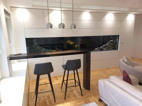 Izdavanje, stan, 180m², Stari Grad, Beograd - image 6