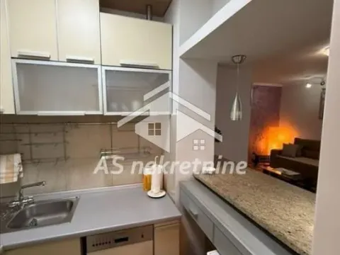 Izdavanje, stan, 52m², Vračar Hram, Vračar Sve Podlokacije - image 6