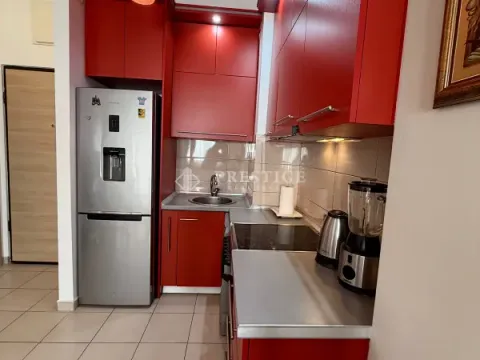 Rent, one bedroom apartment, 42m², Ljubović, Podgorica - image 7