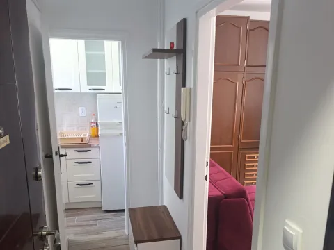 Rent, one bedroom apartment, 23m², Vračar Hram, Vračar Sve Podlokacije - image 9