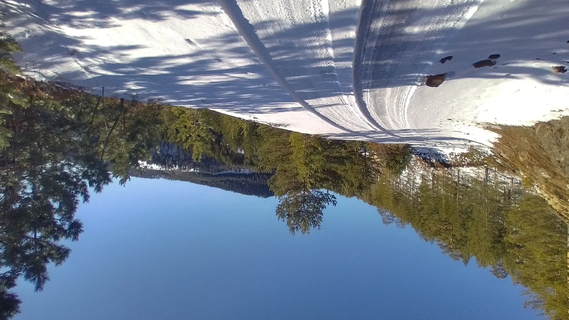 Prodaja, plac, 7000m², Mokra gora, Tara