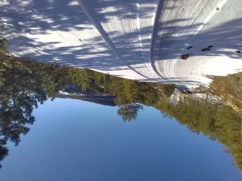 Prodaja, plac, 7000m², Mokra gora, Tara - image 12