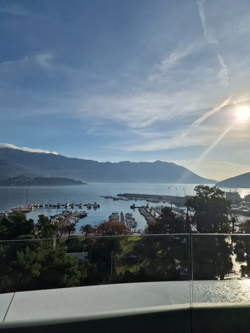 View of the marina and mountains from the terrace.