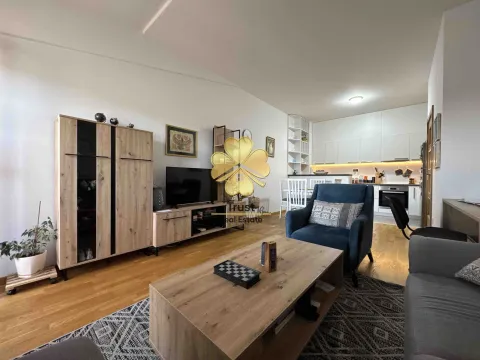 Rent, one bedroom apartment, 50m², Stari Aerodrom, Podgorica - image 2