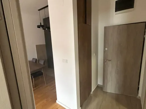 Prodaja, jednosoban stan, 46m², Zabjelo, Podgorica - image 8