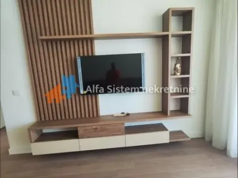 Izdavanje, dvosoban stan, 55m², Savski Venac, Beograd - image 10