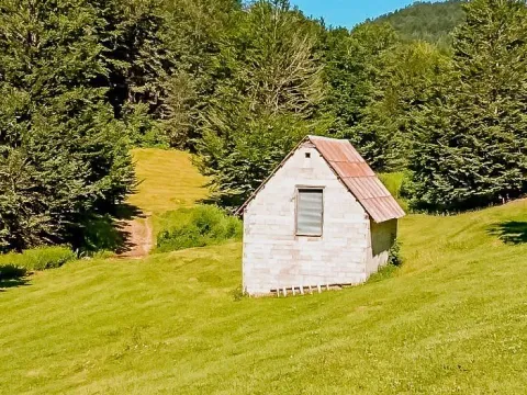 Prodaja, plac, 43000m², Šavnik, Crna Gora - image 7