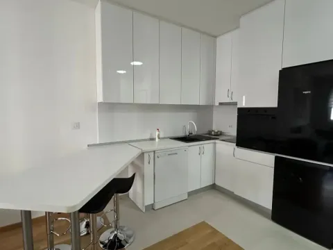 Izdavanje, jednosoban stan, 48m², Stari Aerodrom, Podgorica - image 1