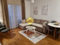 Izdavanje, garsonjera, 31m², Ljubović, Podgorica - image 4