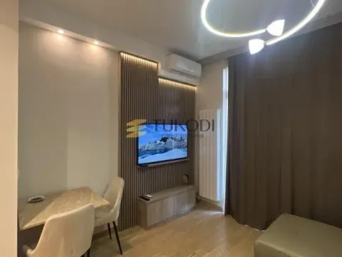 Izdavanje, jednosoban stan, 32m², Savski Venac, Beograd - image 2