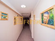 Sale, hospitality venue, 3300m², Nikšić, Crna Gora - image 17