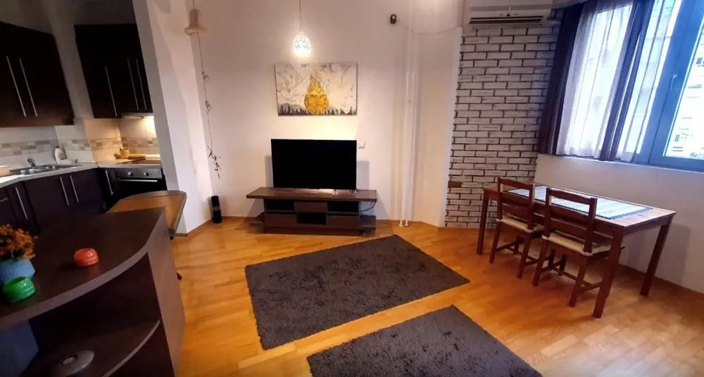Izdavanje, dvosoban stan, 50m², Stari Grad, Beograd