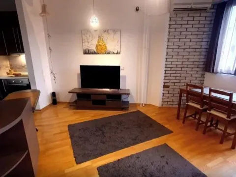 Izdavanje, dvosoban stan, 50m², Stari Grad, Beograd - image 2