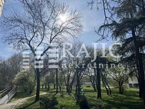 Yard with trees and green area in front of the building.