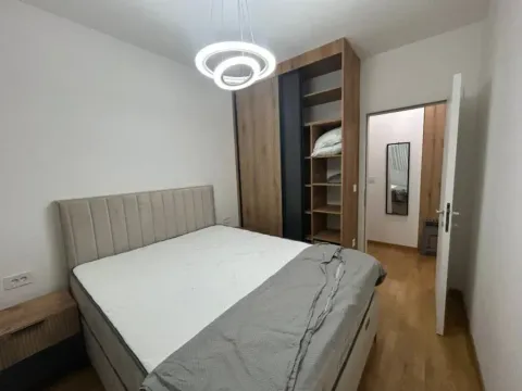 Izdavanje, jednosoban stan, 48m², Stari Aerodrom, Podgorica - image 5