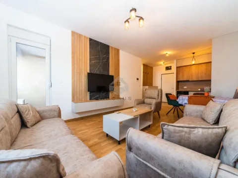 Izdavanje, jednosoban stan, 45m², Stari Aerodrom, Podgorica - image 1