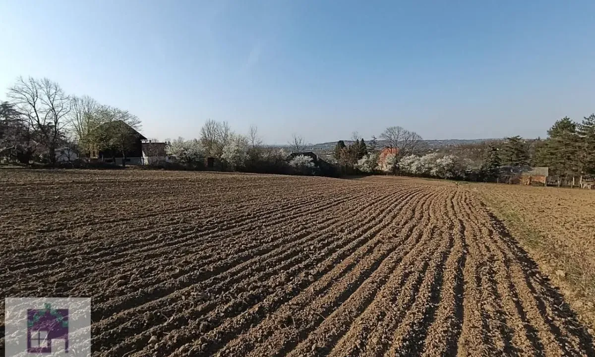 Prodaja, plac, 3600m², Draževac, Obrenovac