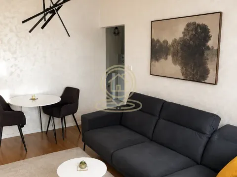 Izdavanje, dvosoban stan, 36m², Stari Grad, Beograd - image 3