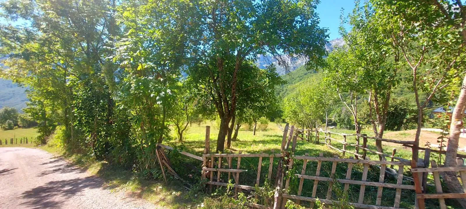 Prodaja, plac, 9000m², Kolašin, Crna Gora