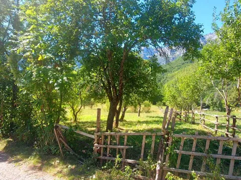 Prodaja, plac, 9000m², Kolašin, Crna Gora - image 5